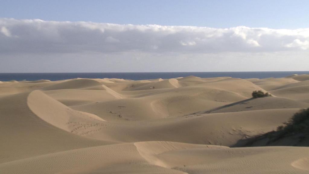 Club Torso Gay Men Only Hotel Maspalomas  Eksteriør billede